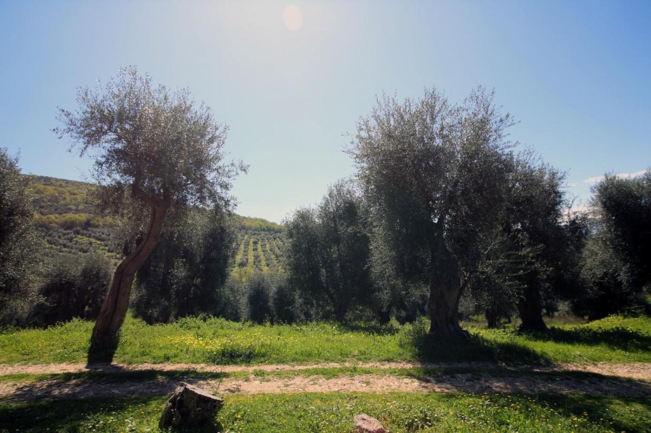 Masseria Procacci 이스키텔라 외부 사진
